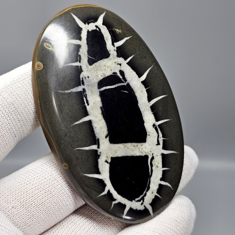 سنگ سپتارین