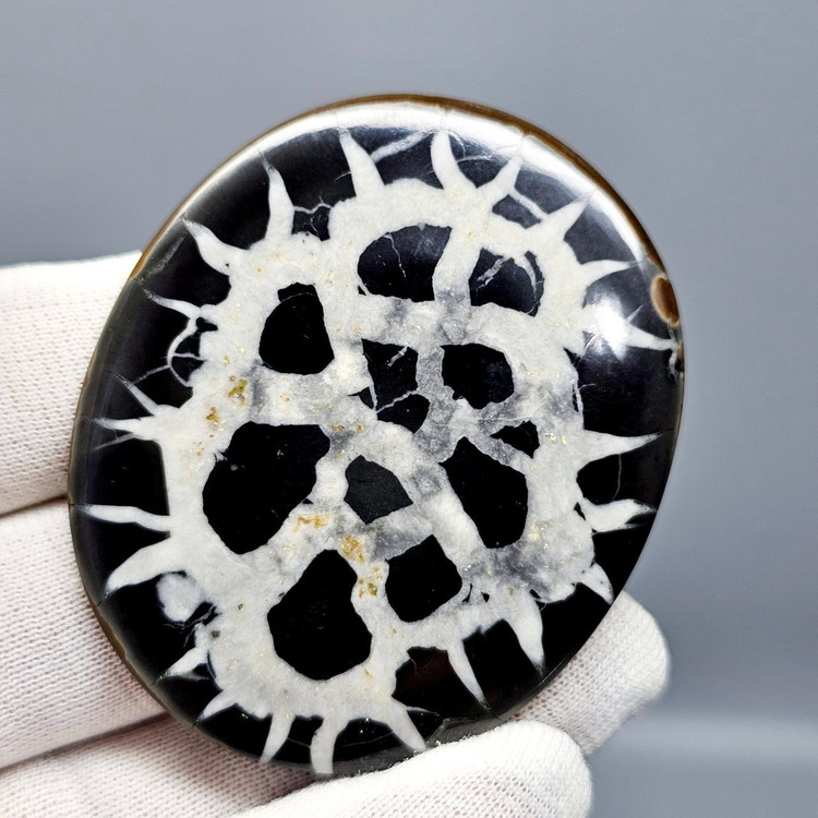 نگین سپتارین