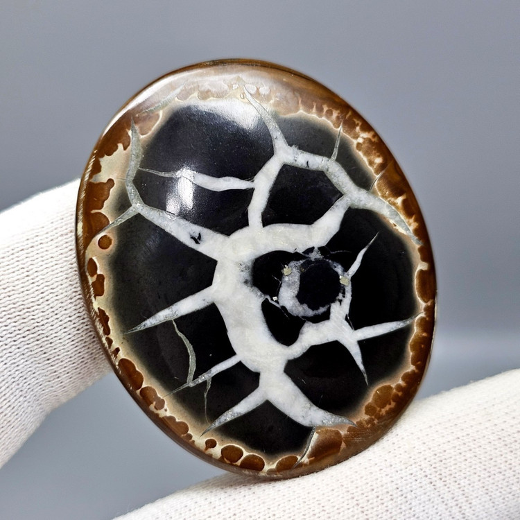 نگین سپتارین